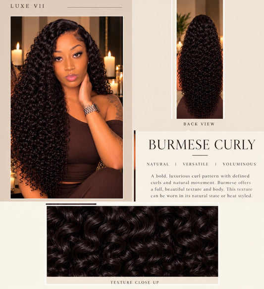 Luxe VII | Burmese Curly Collection